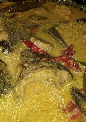Foto resep Gulai kuning ikan Mas