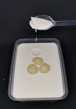 Foto resep Puding Sultan
