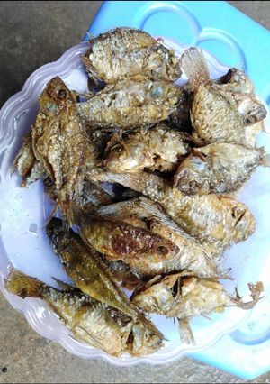 Hình của món Cá sông rán giòn.