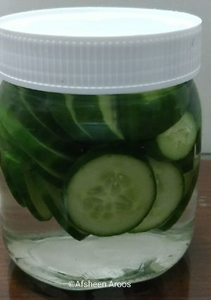 A picture of Pickled Cucumber.
