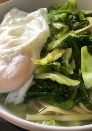 A picture of Vegetable Okinawa soba.