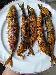 Foto resep Ikan Salem Bakar