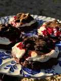 Cocoa berry fusion cookies