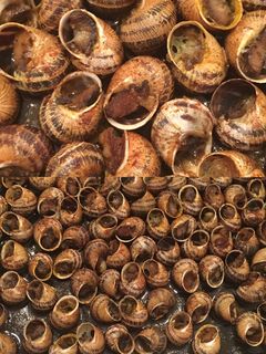 Una foto de 🐌🐌Caracoles al horno con alioli🐌🐌