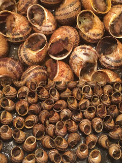 Una foto de 🐌🐌Caracoles al horno con alioli🐌🐌