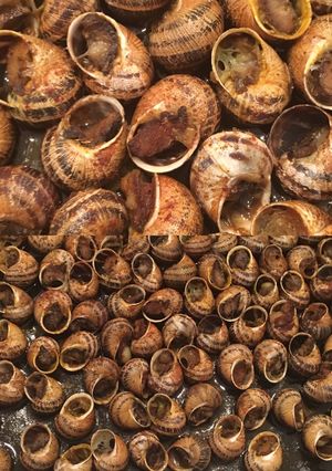 Foto principal de 🐌🐌Caracoles al horno con alioli🐌🐌
