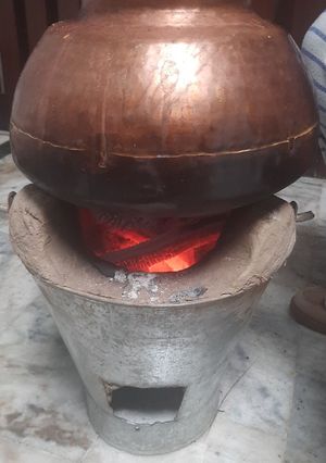 A picture of Degh chicken Indian style.