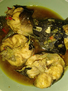 A picture of Cat fish pepper soup🐟.