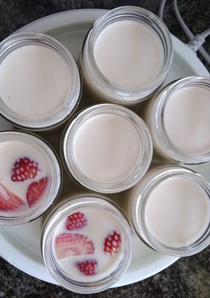 Una foto de Yogur en yogurtera