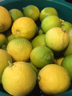 Foto di Marmellata di limoni
