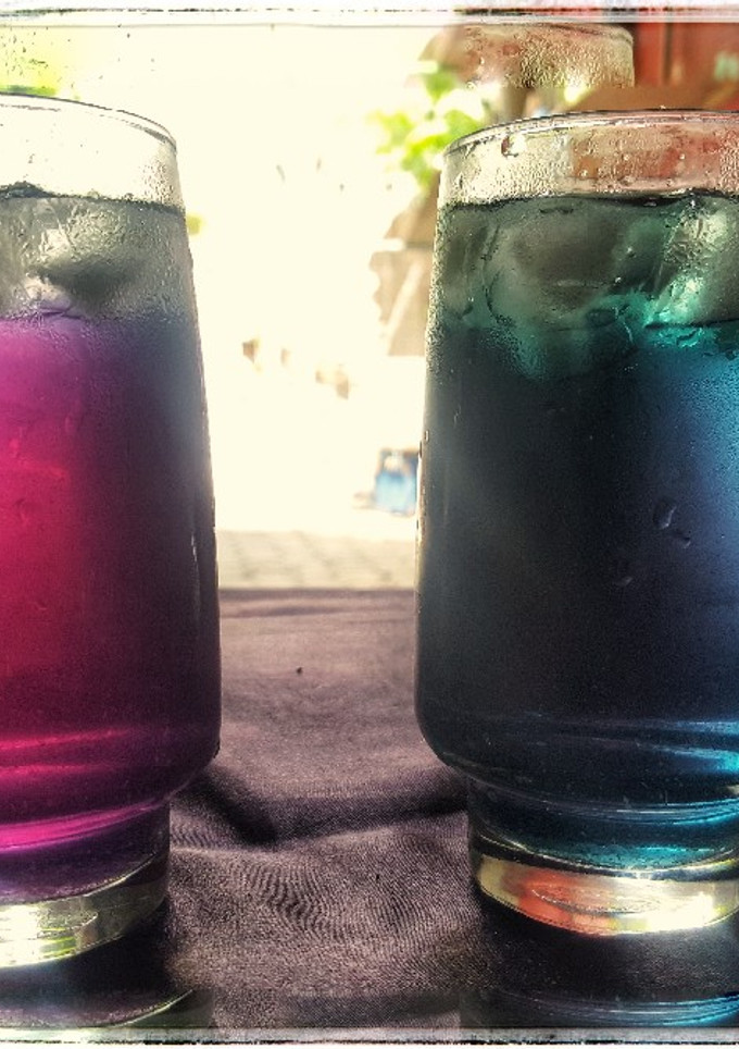 Foto resep Sirup Bunga Telang homemade