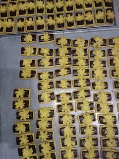 Foto resep Stik coklat