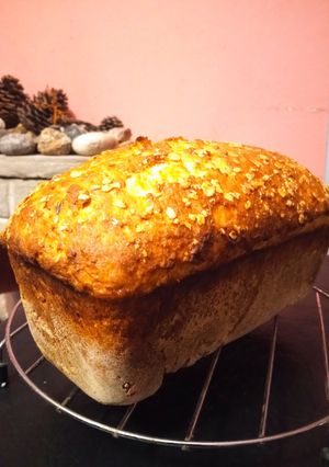 Una foto de Pan de avena y miel 😍🐝