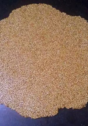 તલ ની ચીકી (Til Chiki Recipe In Gujarati) રેસીપી મુખ્ય ફોટો