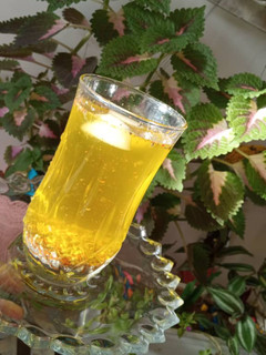 عکسی از دستور شربت خاکشیر و تخم شربتی🍹🍹