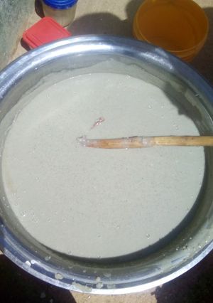A picture of Kunu doro(millet).