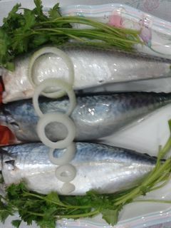 Hình của món Cá Nục Hấp.