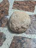 Masa de tarta semi integral