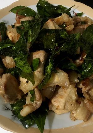 Hình của món Thịt lợn xào lá móc mật.