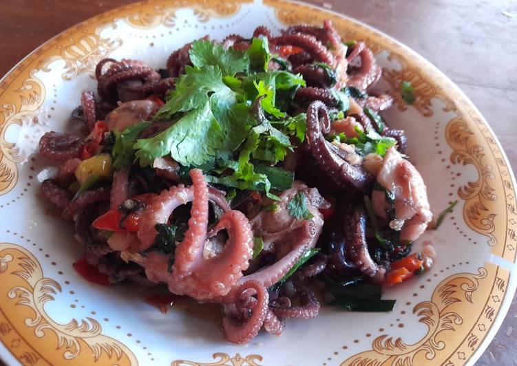 Baby octopus saus thailand