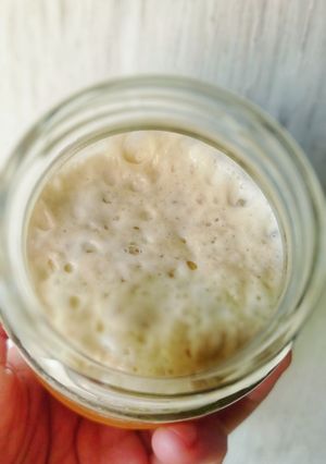 Foto resep Sourdough starter / ragi alami / natural yeast
