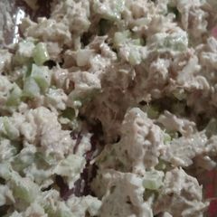 A picture of Tuna Salad.