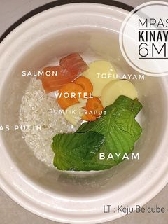 Foto resep Mpasi 6 Bulan Prohe Salmon