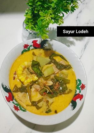 Foto resep Sayur Lodeh