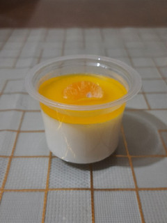 Foto resep Puding Sutra Nutrijel Jeruk