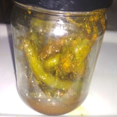 SEM ka Achar A picture of SEM ka Achar.