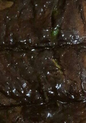 Foto resep Martabak pandan coklat meleleh (teflon)