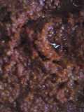 Sambal acan padas rawit habang
