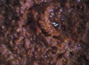 Foto resep Sambal acan padas rawit habang