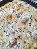 Indivia Belga al Forno