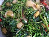Tumis kangkung+cecek