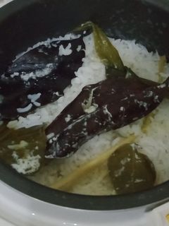 Foto resep Nasi uduk magicom