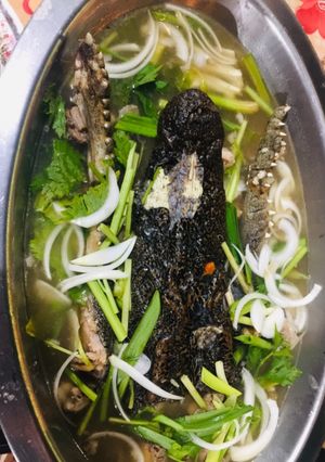 Hình của món Cá sấu hầm thuốc bắc.