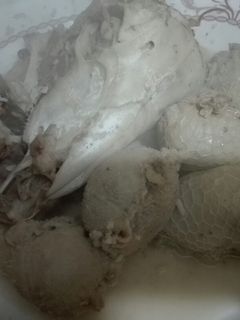 صورة لوصفة روس وكرش