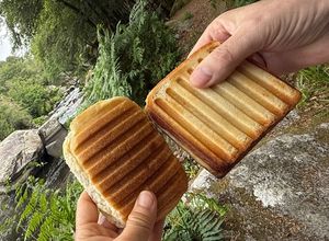 Une photo de Sandwich Grillé au Poulet et au Fromage Comté pour un Pique-nique