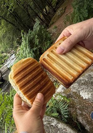 Une photo de Sandwich Grillé au Poulet et au Fromage Comté pour un Pique-nique