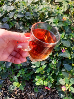عکسی از دستور چای خوشرنگ من 😉😍