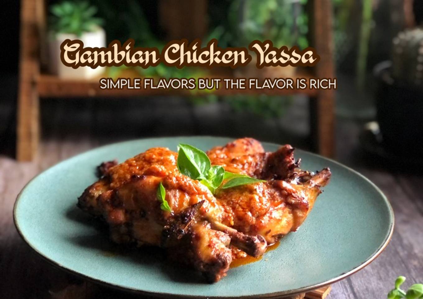 Ayam Gambian Yasa 8