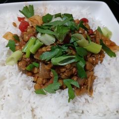 A picture of Spicy Lentils with Rice.