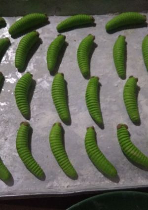 Foto resep Kue kering ulat daun