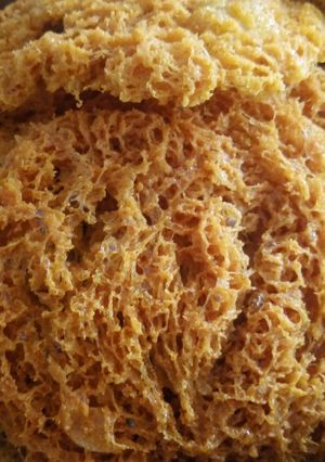 Foto resep Kremesan Ayam
