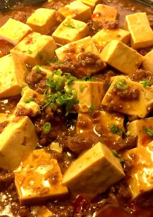 A picture of Mapo Tofu  Braised silken tofu and ground beef with spicy sauce.