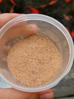 Foto resep Kaldu udang bubuk
