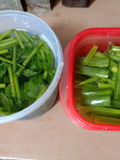 Foto resep Tips penyimpanan daun bawang & daun seledri