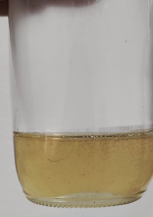 Foto resep Simple Syrup Kental
