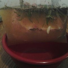 A picture of Apple juice brine.